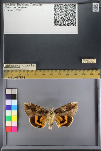 Media type: image;   Entomology 640177